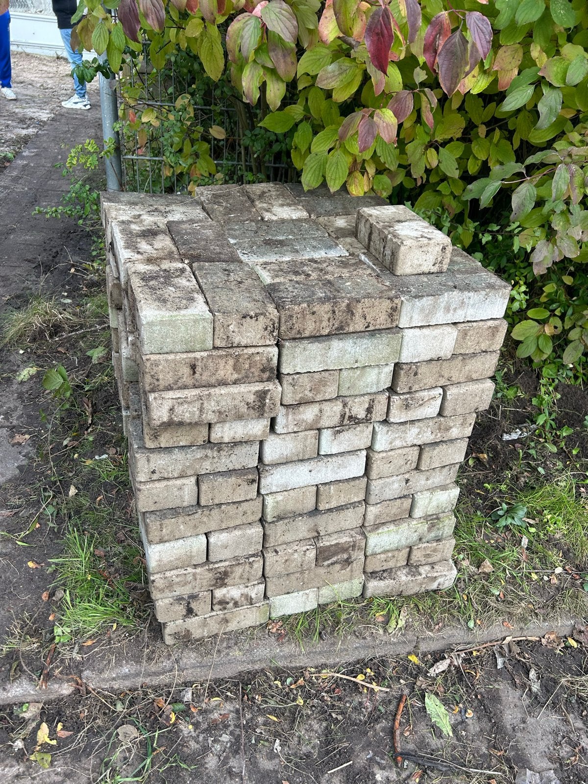 Ongeveer 1000 gebruikte tegels, Tuin en Terras, Ophalen, Gebruikt, 10 m² of meer, Beton