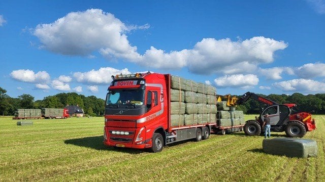 Ruwvoer - voordrooghooi, Dieren en Toebehoren, Dierenvoeding, Ophalen, Vee