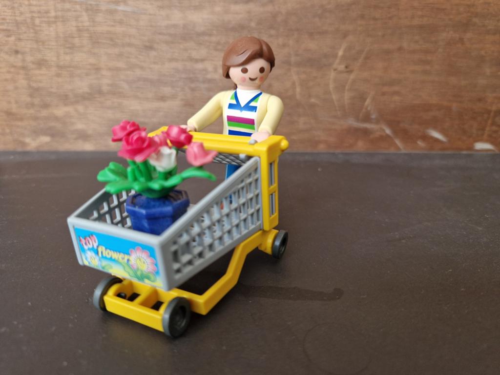 Playmobil 4638 - Vrouw met winkelwagen, Ophalen, Gebruikt, Complete set