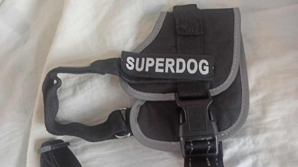 honden tuigjes, Ophalen of Verzenden, Zo goed als nieuw