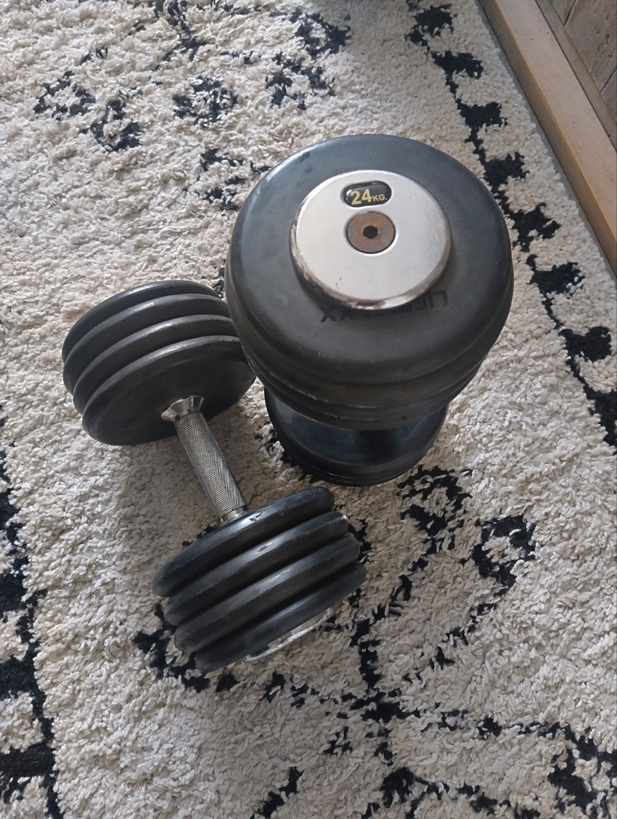 LifeMaxx 2x 24 Kg dumbells...een set van 48 Kg., Sport en Fitness, Ophalen, Gebruikt, Benen, Dumbbell