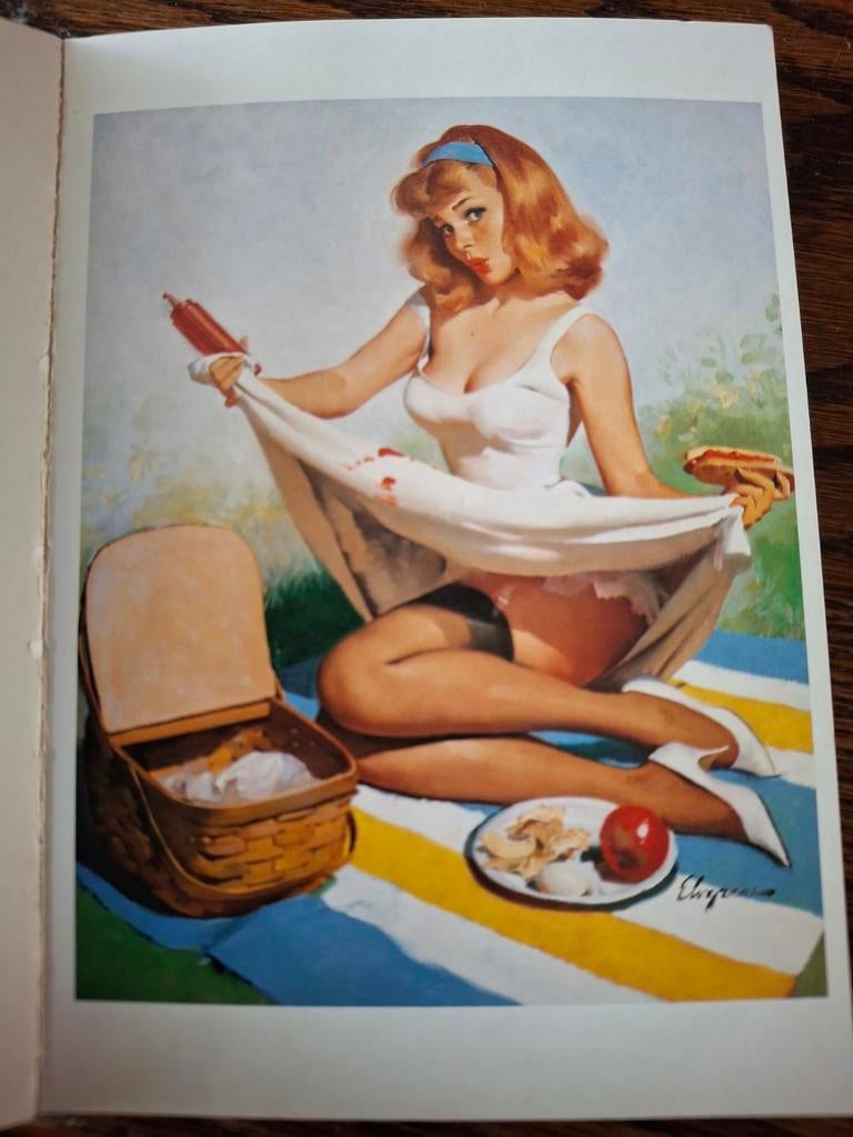 The Great American Pin- Up postcards, Antiek en Kunst, Ophalen of Verzenden