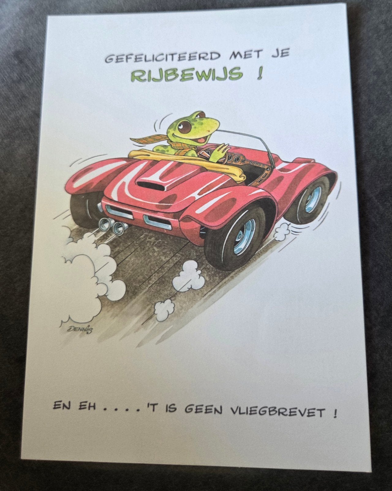 Gefeliciteerd met je rijbewijs! Kikker in sportauto, Verzenden, 1980 tot heden, Gelopen, Overige thema's