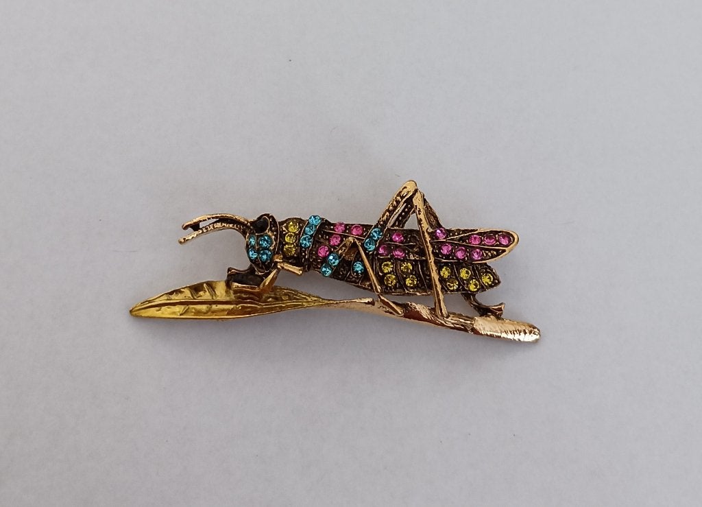 Sprinkhaan broche, Sieraden, Tassen en Uiterlijk, Broches, Overige materialen, 4 tot 7 cm, Overige kleuren, Nieuw