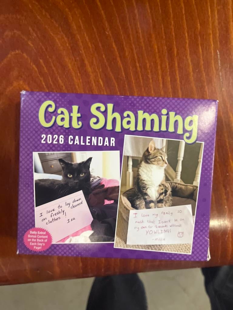 Cat Shaming Scheurkalender 2026 – Grappige Katten, Ophalen of Verzenden, Nvt, Dagkalender, Nvt