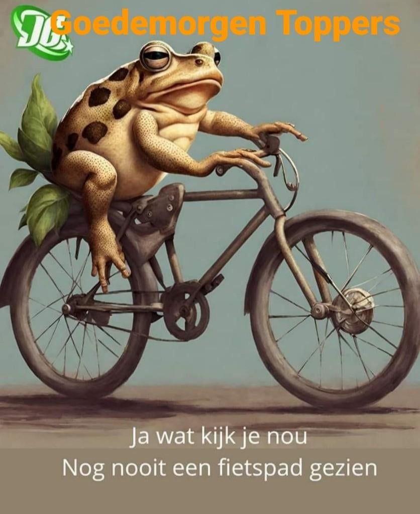 wandel of fiets maatje, Ophalen of Verzenden, Rugzak
