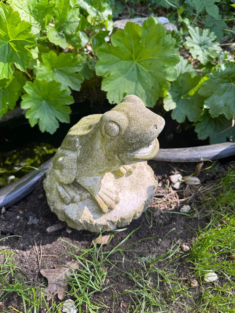 Waterornament kikker, Tuin en Terras, Ophalen of Verzenden, Gebruikt, Beton, Waterornament
