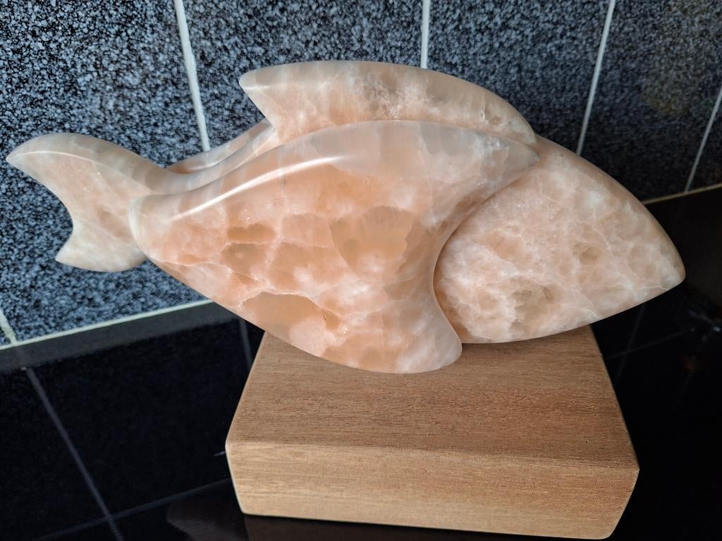 Hand gemaakte albast vis, Ophalen, Mineraal