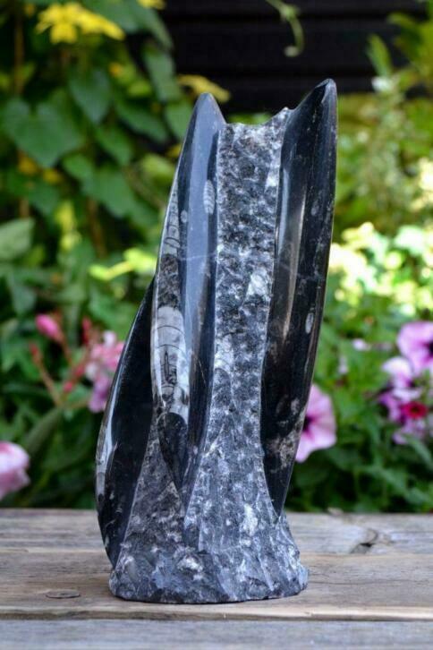 Orthoceras sculptuur (nr. 2), Ophalen of Verzenden, Fossiel
