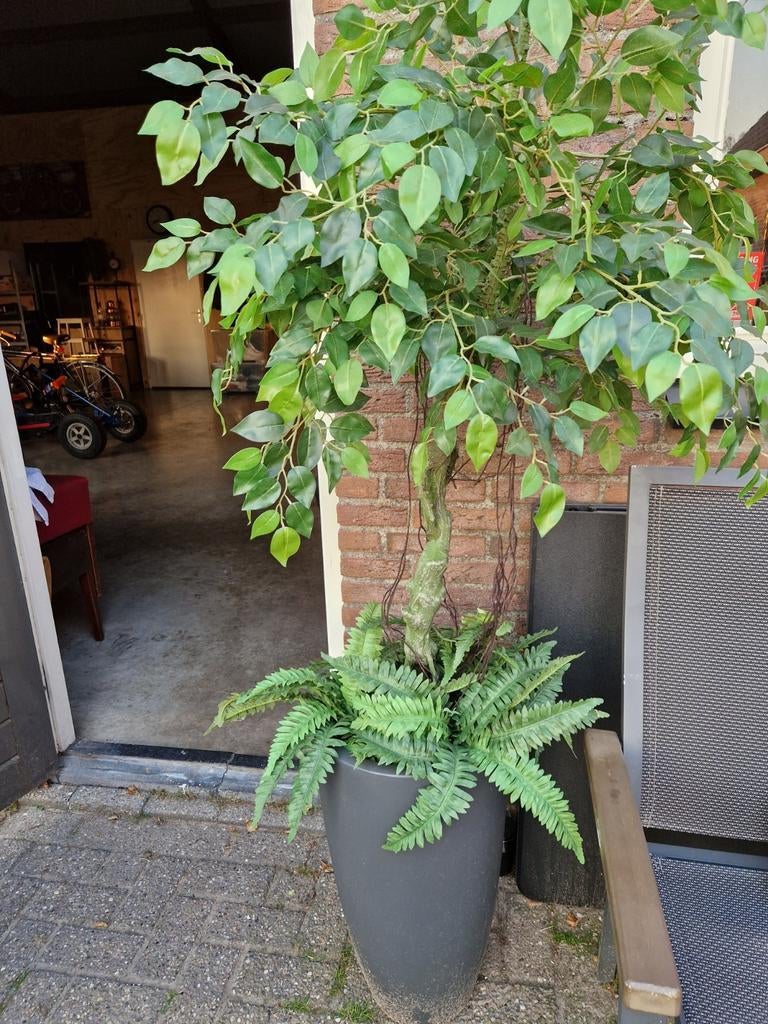 Mooie kunstplant, Ophalen