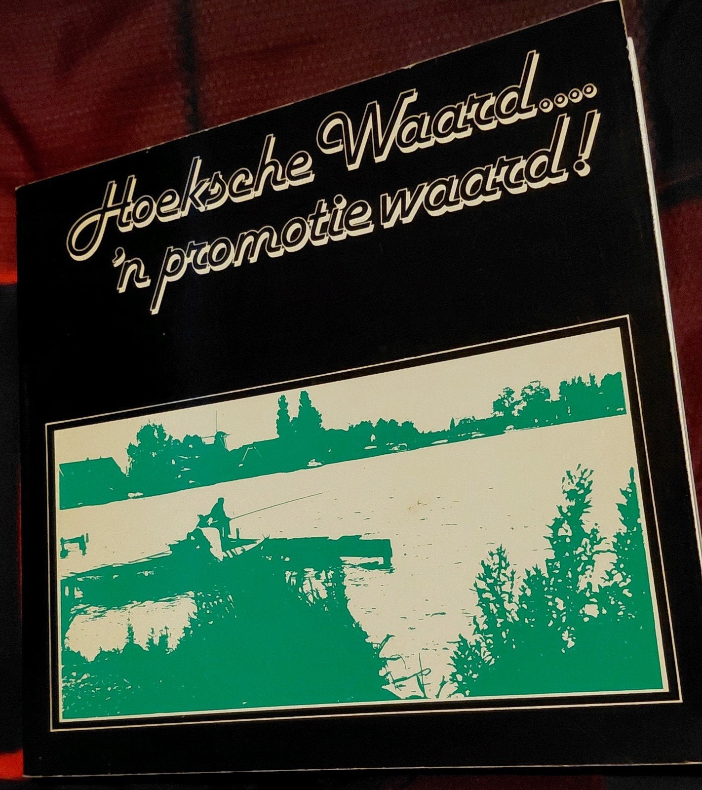 Hoeksche Waard: 'n promotie waard! - Geschiedenisboek, Ophalen of Verzenden, Gelezen, Overige typen