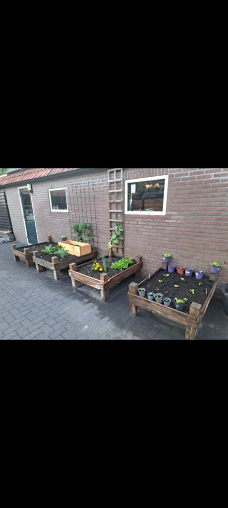 Kweekbakken moeten zo snel mogelijk weg., Ophalen, Gebruikt, Rechthoekig, Hout