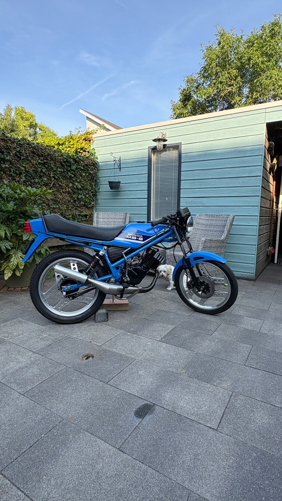Honda mb8 met brommer kenteken, Ophalen, Gebruikt, Maximaal 45 km/u, MB
