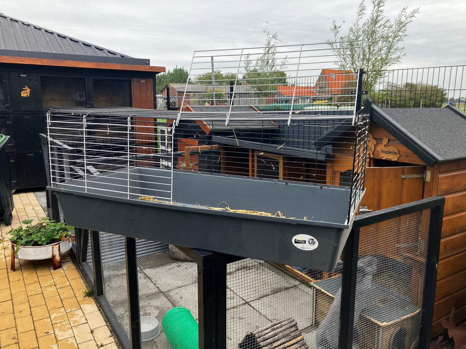 Konijnenhok, binnenkooi, 110 cm of meer, Zo goed als nieuw, Hok, Cavia