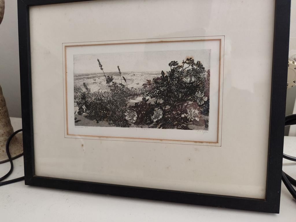 De muy Texel ets reinder homan, Antiek en Kunst, Kunst | Etsen en Gravures, Ophalen of Verzenden