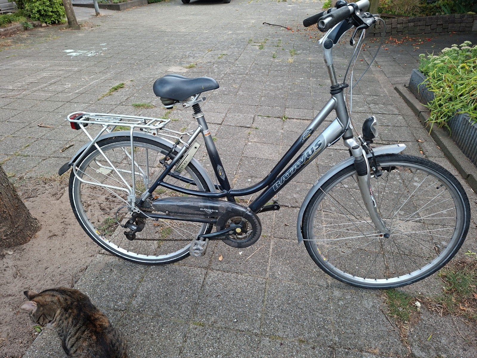Batavus damesfiets met versnellingen, Gebruikt, Velgrem, Versnellingen, Batavus