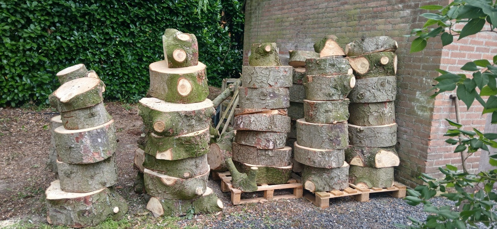 Minimaal 3 kuub stookhout spar, 3 tot 6 m³, Ophalen, Overige houtsoorten, Blokken