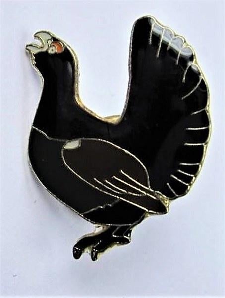 Auerhaan, auerhoen Cloisonné emaille steekbroche, pin (6960), Ophalen, Zo goed als nieuw, Minder dan 4 cm, Overige materialen