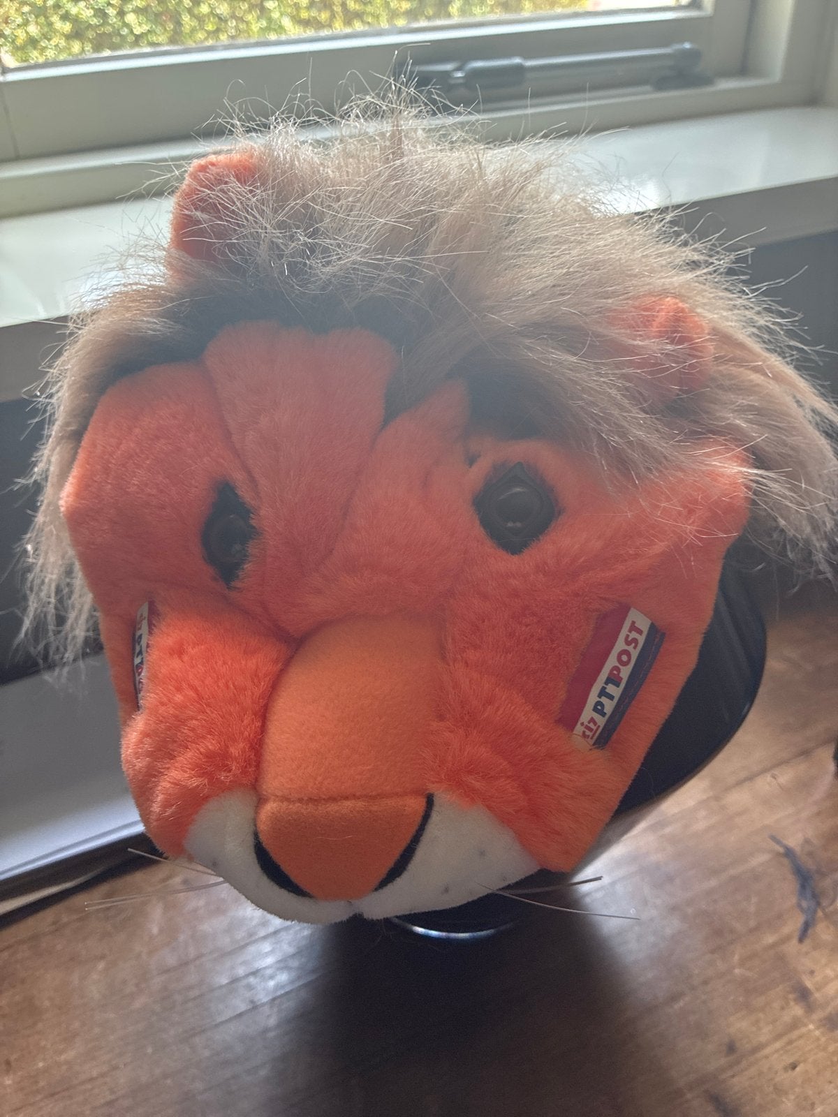 Oranje WK Leeuwenpet met Haar - PTT Post Editie, Ophalen of Verzenden, Gebruikt, Hoed of Pruik, Oranje of Koningsdag