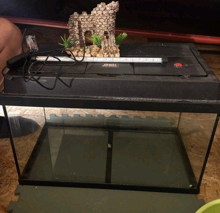 Aquarium Juwel 63l, Dieren en Toebehoren, Ophalen, Nieuw, Leeg aquarium