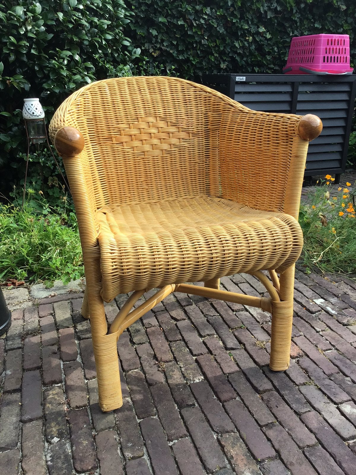 2 mooie rotan stoelen, Ophalen, Twee, Overige kleuren, Riet of Rotan