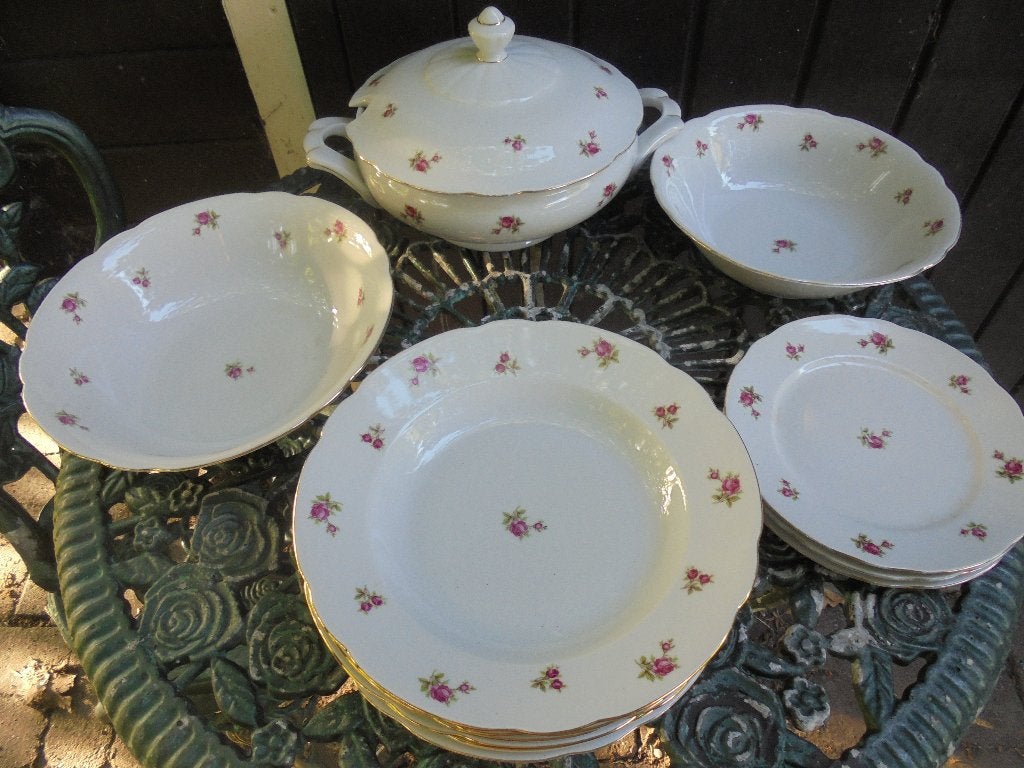 Delen Dinerservies Bareuther Bavaria met roze roosjes, Ophalen of Verzenden