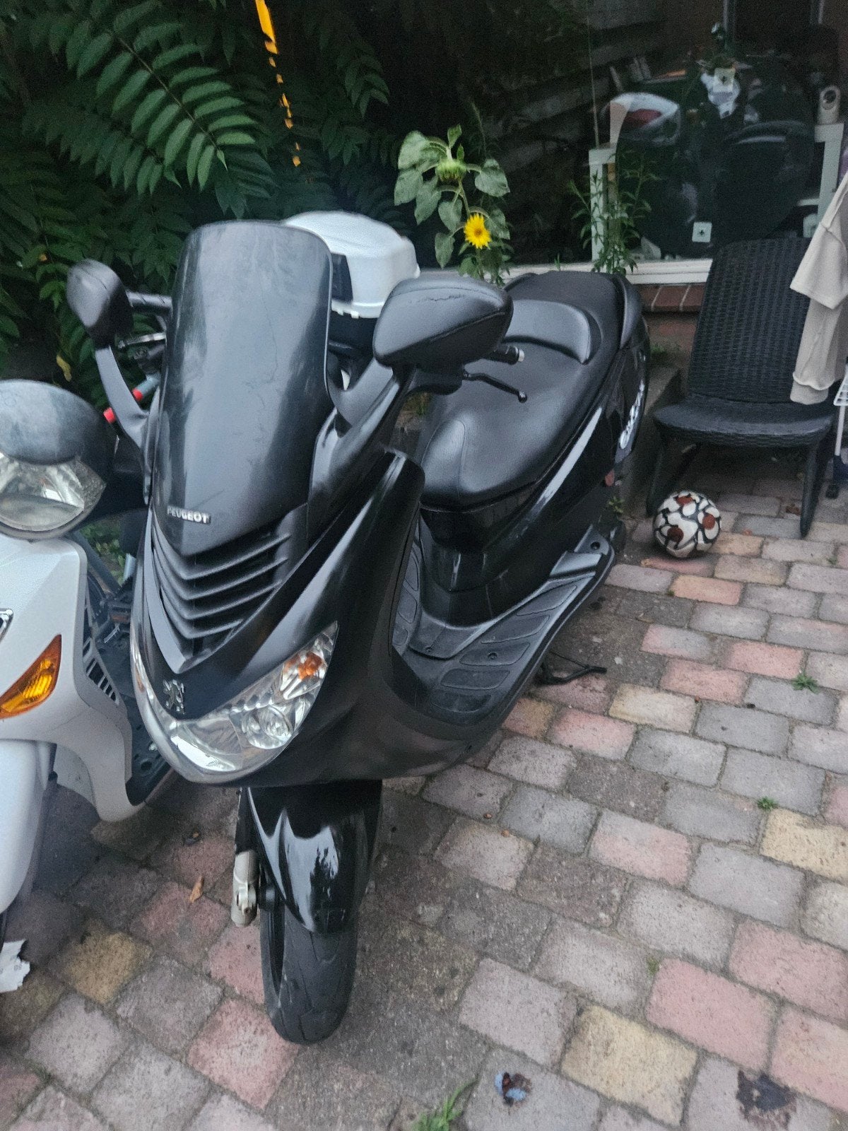 Peugeot Elystar 70cc Polini Corsa - Dellorto 21mm, Peugeot Motocycles, Gebruikt, Overige modellen, Ophalen of Verzenden
