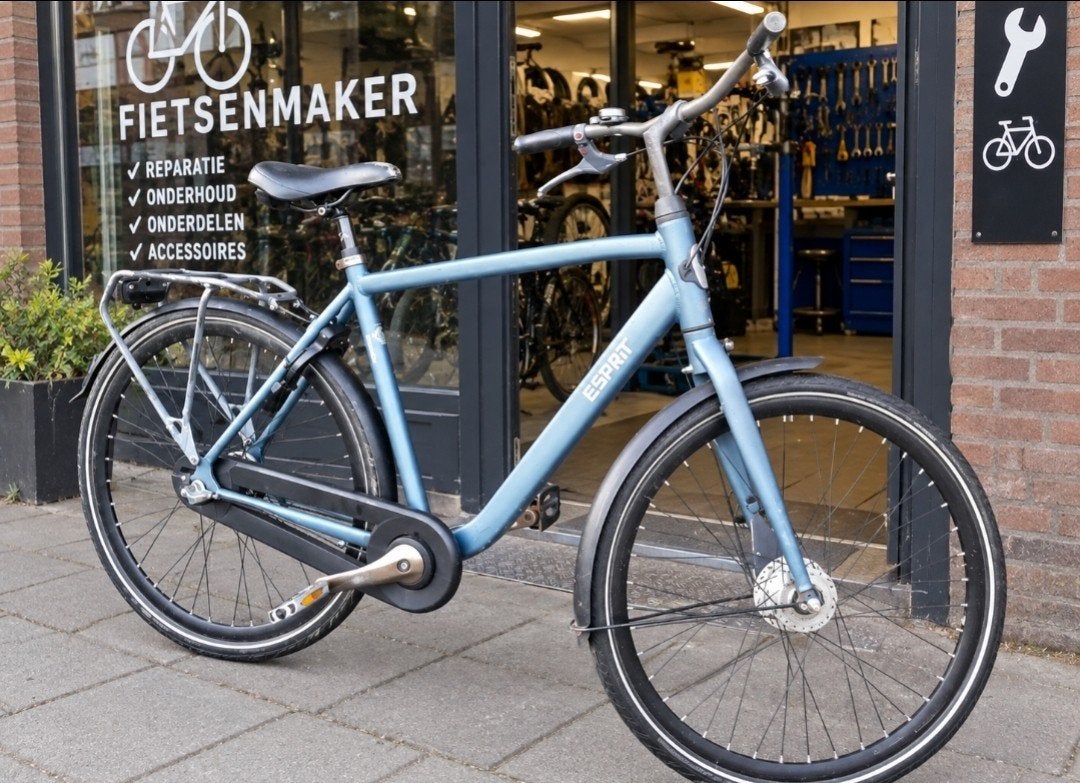 Gazelle Esprit Heren nexus 3 versnellingen. 28" D47/51, Fietsen en Brommers, Ophalen