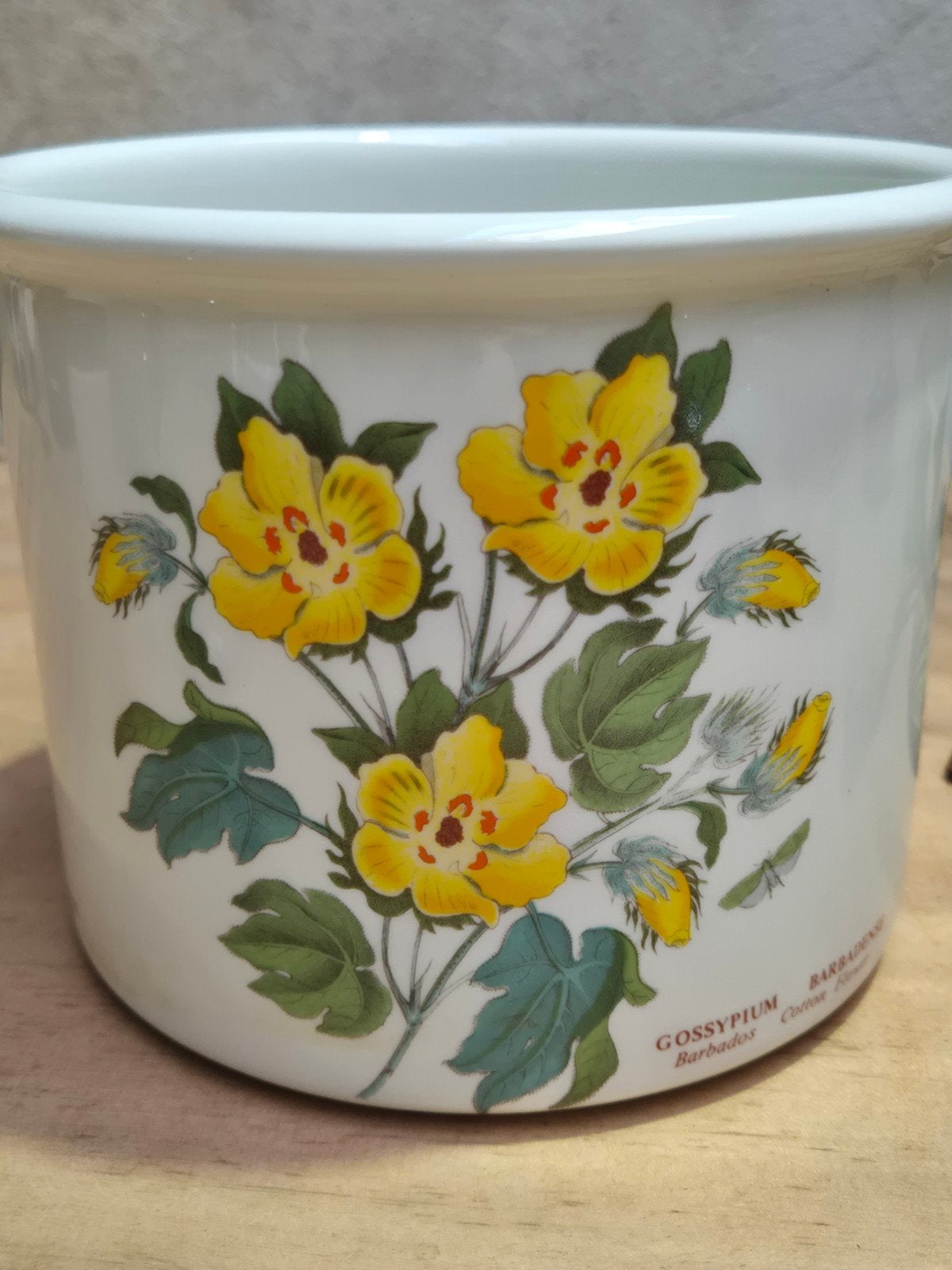 Portmeirion Botanic Garden Bloempot – Gossypium Barbadense, Ophalen of Verzenden