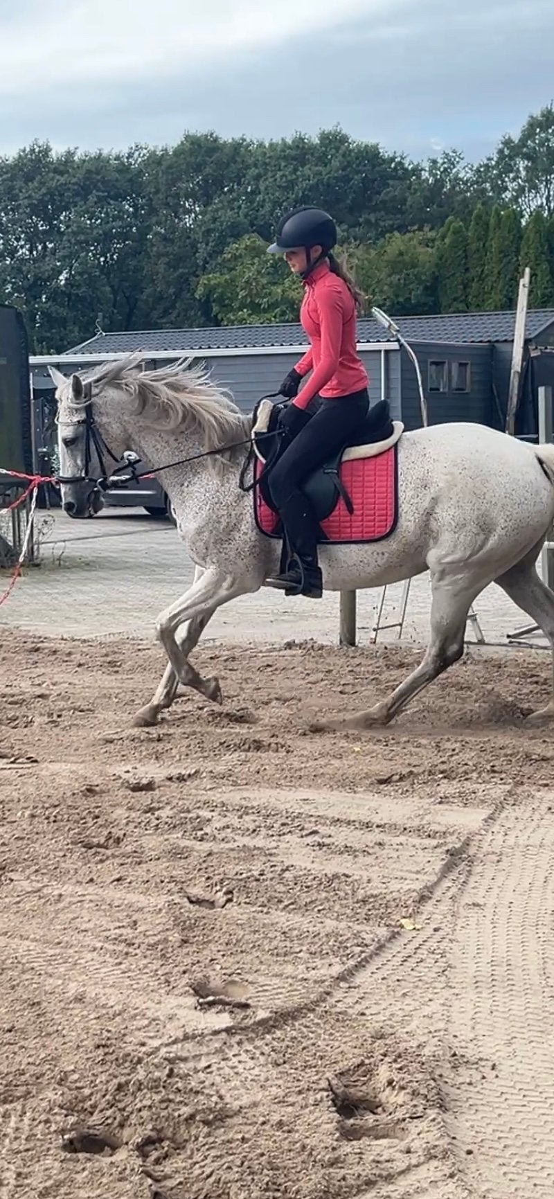 Bijrijder/verzorger aangeboden!, Ophalen of Verzenden