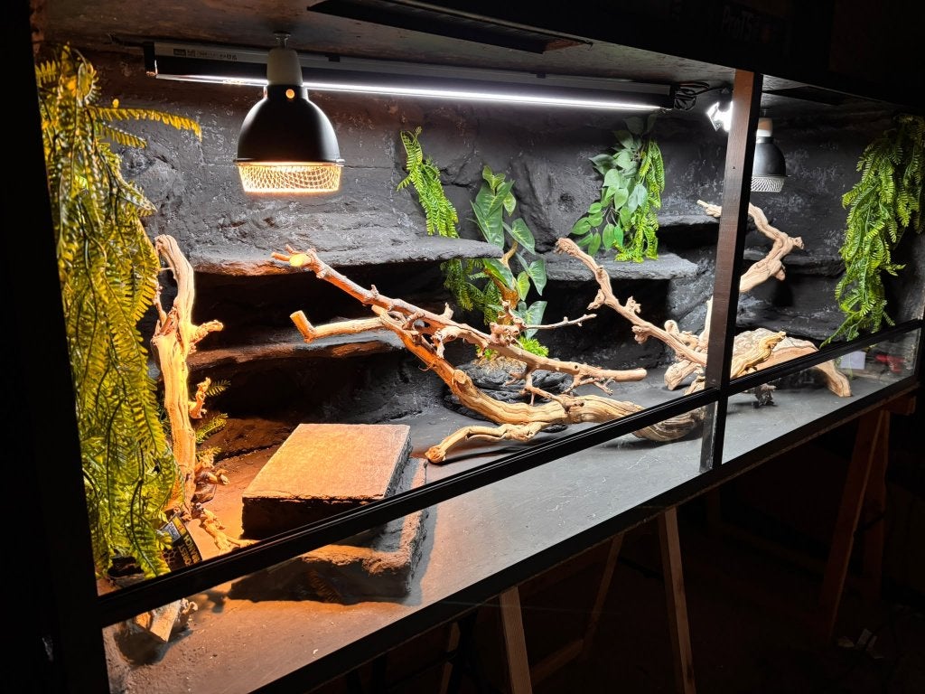 Terrarium uit stock 200x70x70 FULL OPTION, Ophalen of Verzenden