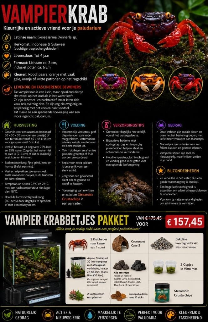 Prachtige Red Devil, Violet Vampire krabbetjes, Kreeft, Krab of Garnaal