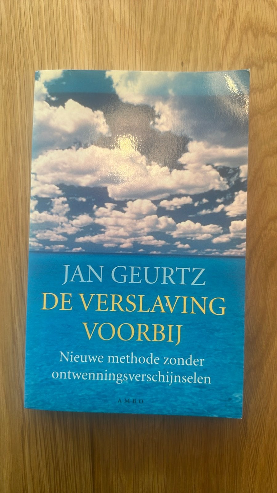 De Verslaving Voorbij - Jan Geurtz (Nieuwstaat), Boeken, Ophalen of Verzenden, Zo goed als nieuw, Overige uitgevers, Nederlands