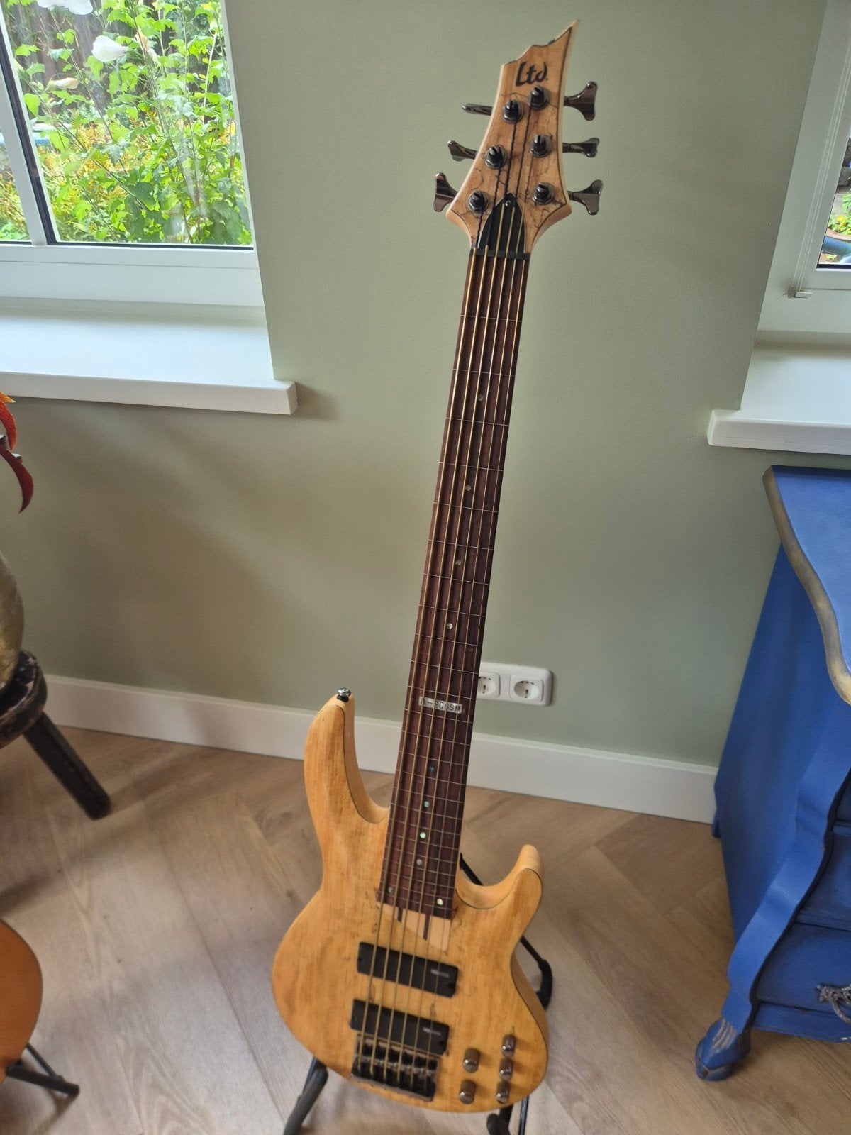 ESP LTD B-206SM 6-snarige basgitaar fretloos, Muziek en Instrumenten, Snaarinstrumenten | Gitaren | Bas, Ophalen, Gebruikt, Elektrisch