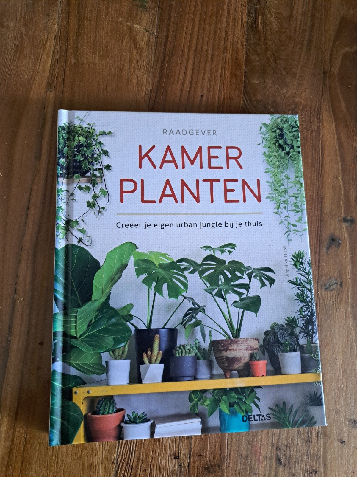Raadgever Kamerplanten: Creëer je eigen urban jungle, Ophalen of Verzenden, Zo goed als nieuw, Angelika Throll, Kamerplanten