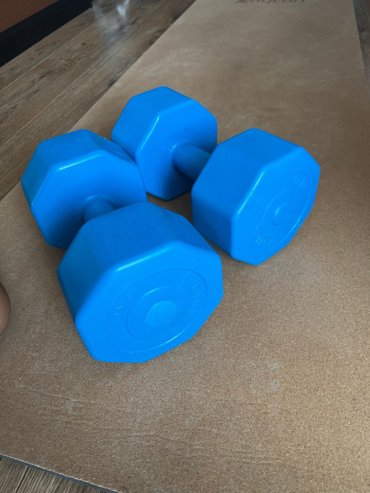 Set van 2 blauwe dumbbells van 5 kg - Gymstick, Ophalen, Gebruikt, Armen, Dumbbell