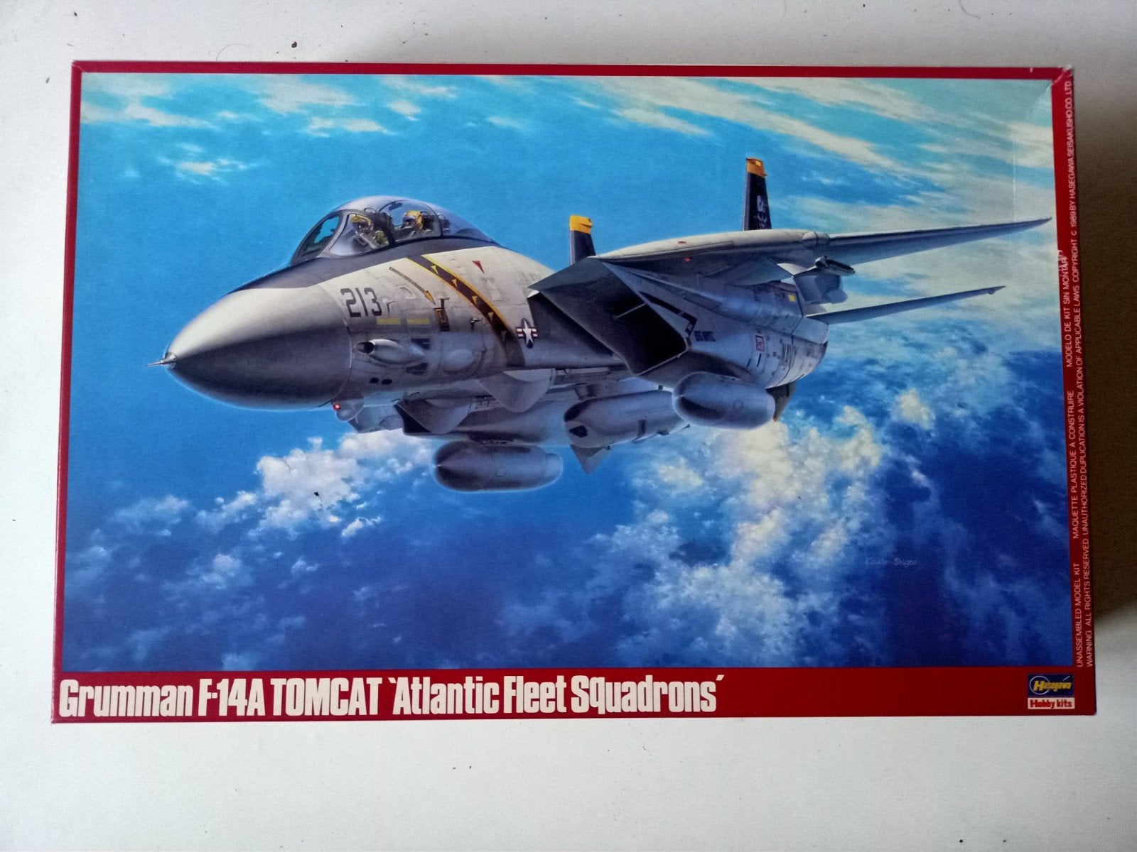 Hasegawa 1/48 Grumman F-14A Tomcat Atlantic Fleet Squadrons, Hobby en Vrije tijd, Modelbouw | Vliegtuigen en Helikopters, Ophalen of Verzenden