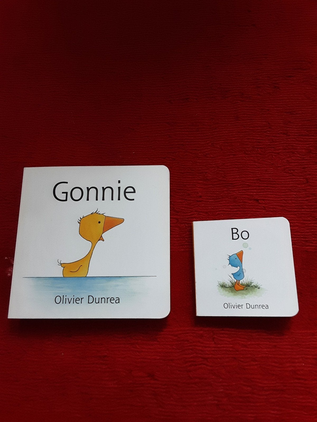 Gezellige Boekjes: Bo en Gonnie van Olivier Dunrea, Boeken, Ophalen, Zo goed als nieuw, Olivier Dunrea, 2 tot 3 jaar