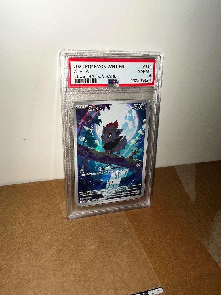 Pokemon Zorua 142/086 PSA 8, Ophalen of Verzenden, Nieuw