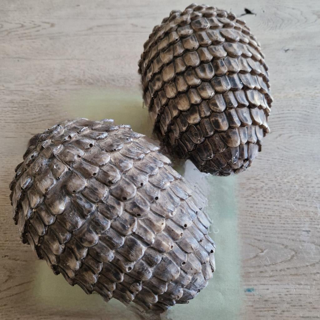 2 Grote Dennenappels, Ophalen of Verzenden
