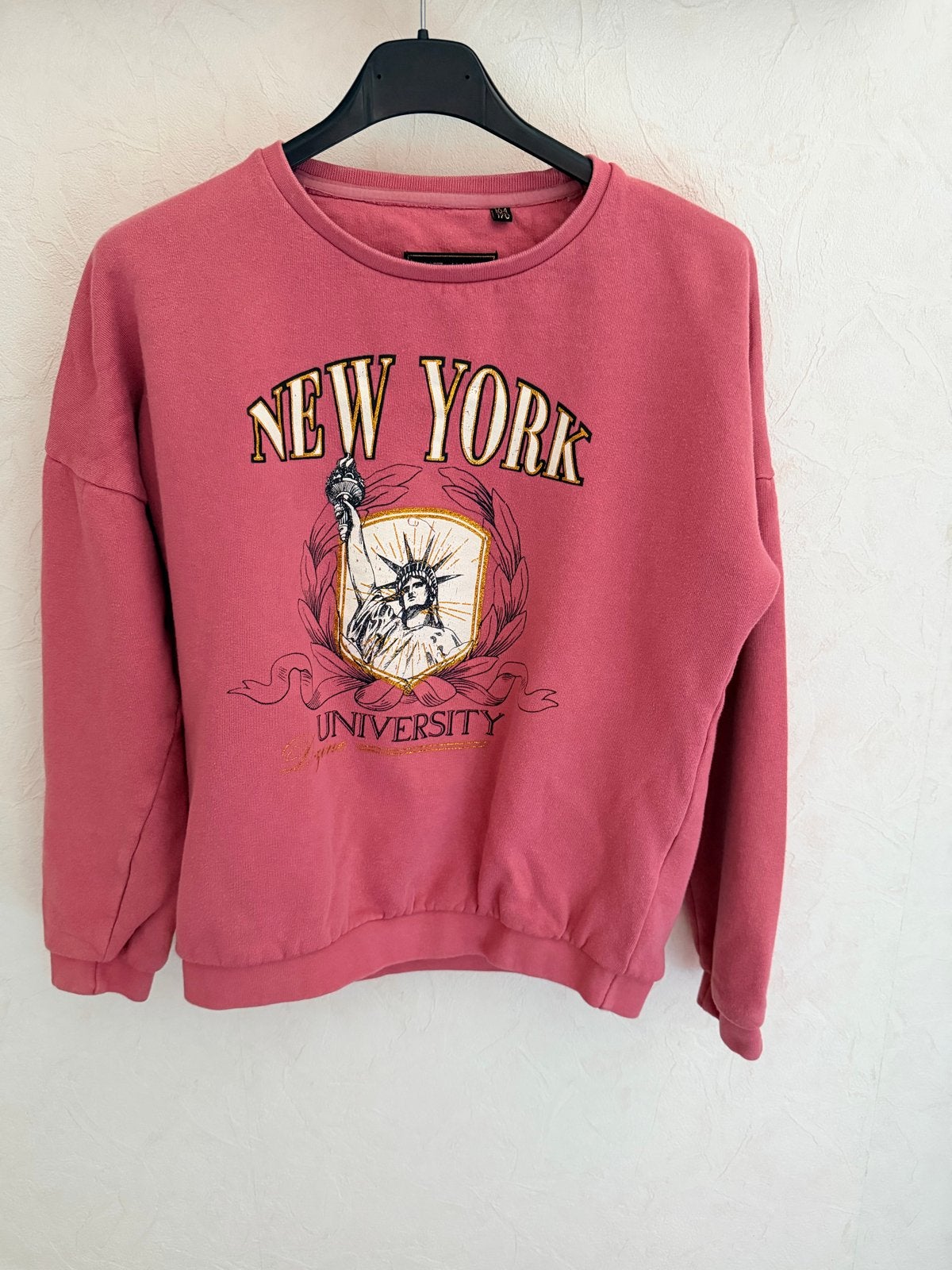 Roze D-Zine "New York University" sweater, maat 164/170, Ophalen of Verzenden, Zo goed als nieuw, Meisje