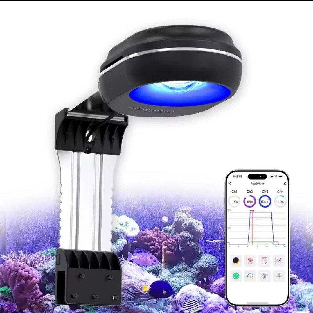 Popbloom RL60 reeflight, splinternieuw!, Dieren en Toebehoren, Ophalen of Verzenden, Nieuw