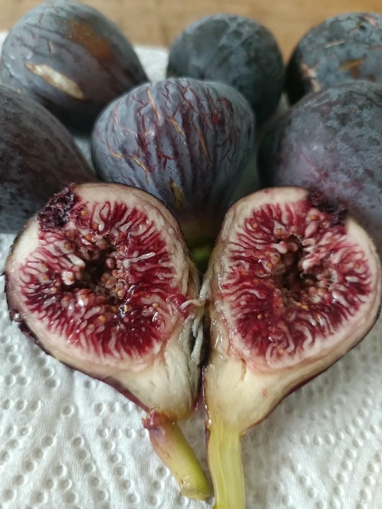 Dagelijks verse biologische vijgen, Ophalen