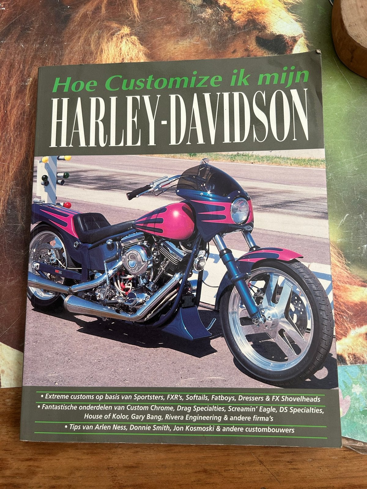 Hoe Customize ik mijn Harley-Davidson - Boek, Ophalen of Verzenden, Gelezen, Algemeen