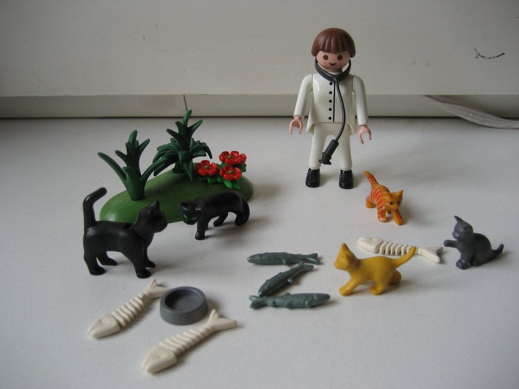 playmobil dierenarts bij de katten, Ophalen of Verzenden, Zo goed als nieuw