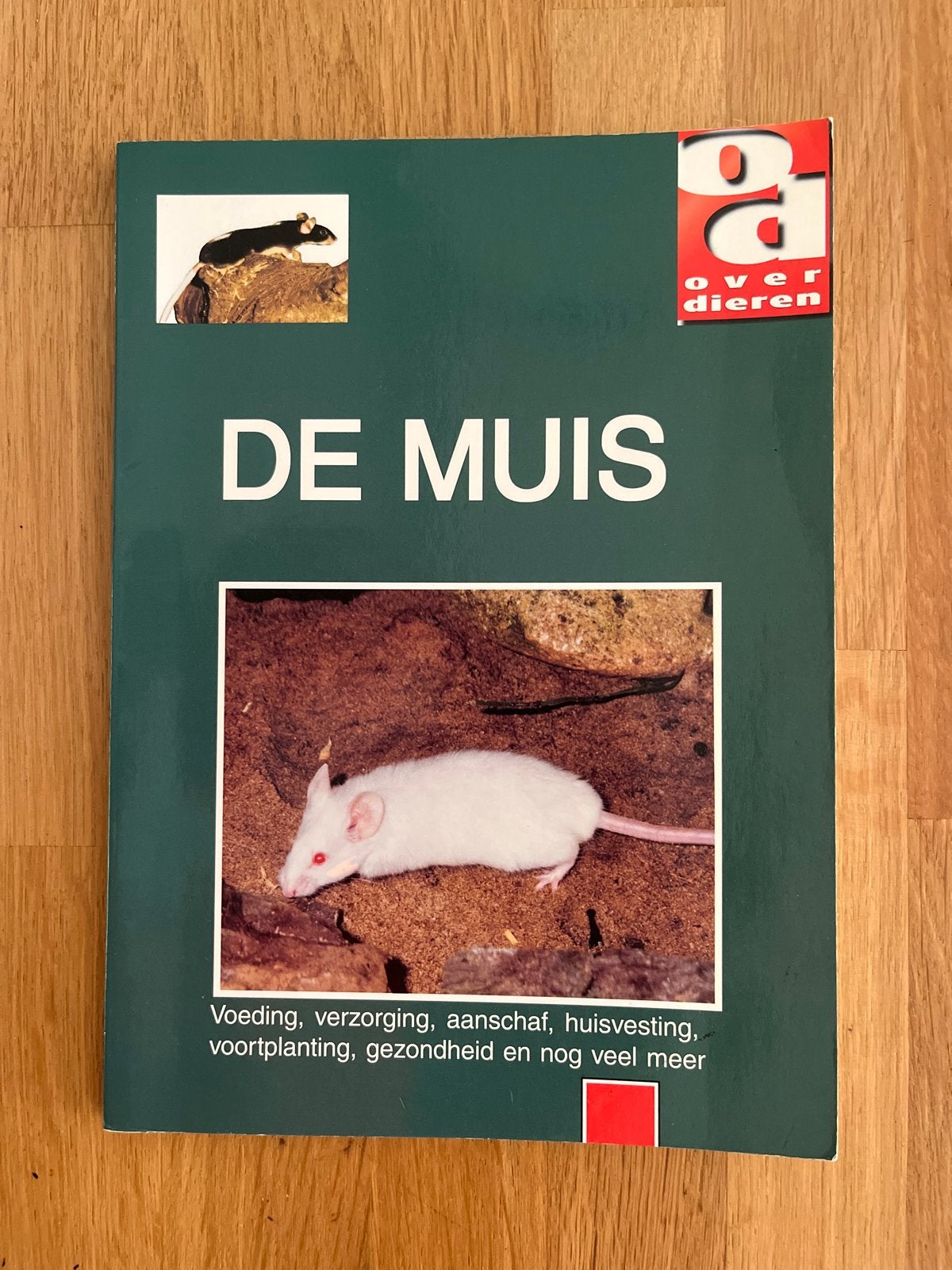 De Muis - Boek over muizen als huisdier, Boeken, Ophalen of Verzenden, Gelezen, Konijnen of Knaagdieren