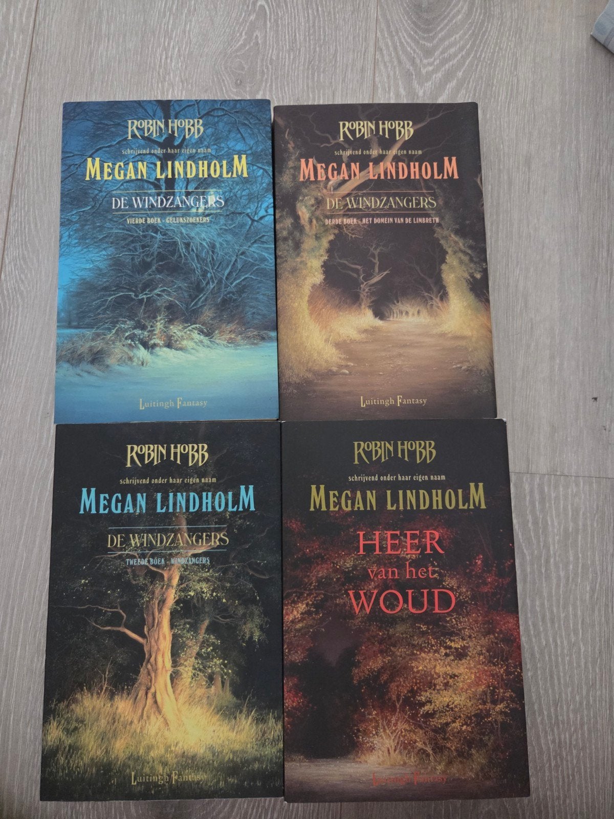 4x Megan Lindholm / Robin Hobb, Ophalen of Verzenden, Gelezen