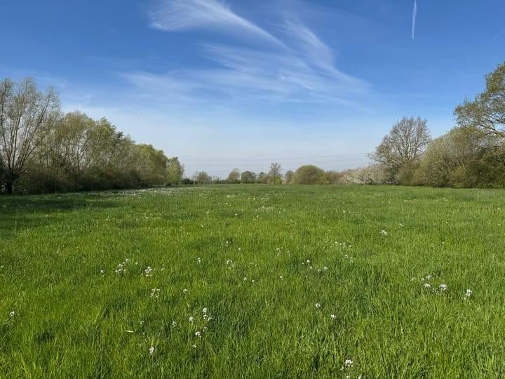 Gezocht Agrarisch grond, Dieren en Toebehoren