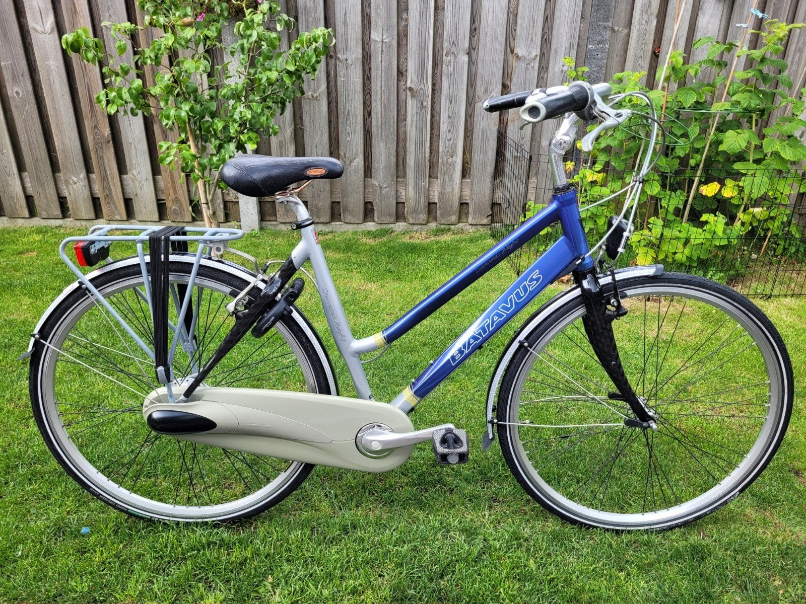 Batavus Crescendo X-light D53 met  7 versnellingen, Ophalen, Velgrem, Batavus, Minder dan 10 versnellingen
