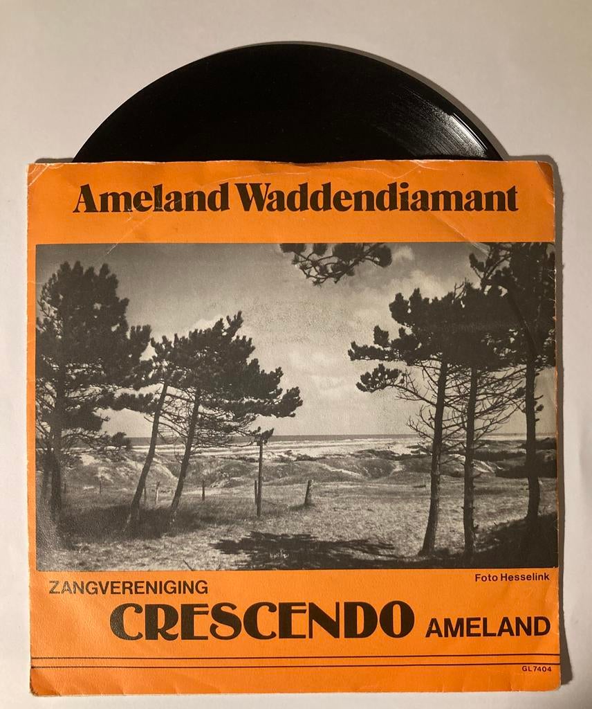 Vinyl single Crescendo - Amelander Volkslied, Ophalen of Verzenden, Gebruikt, Nederlandstalig